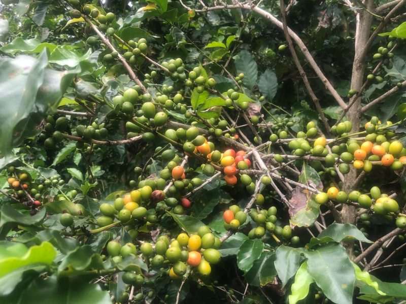 WhatsApp Image 2026-03-27 at 10.20.18 AM (1)