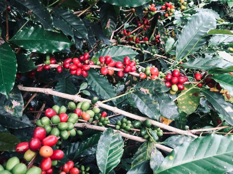 WhatsApp Image 2026-03-29 at 7.55.56 AM (1)