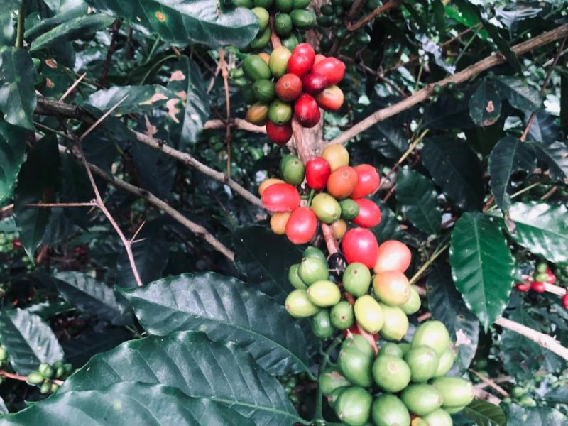 WhatsApp Image 2026-03-29 at 7.55.56 AM (2)