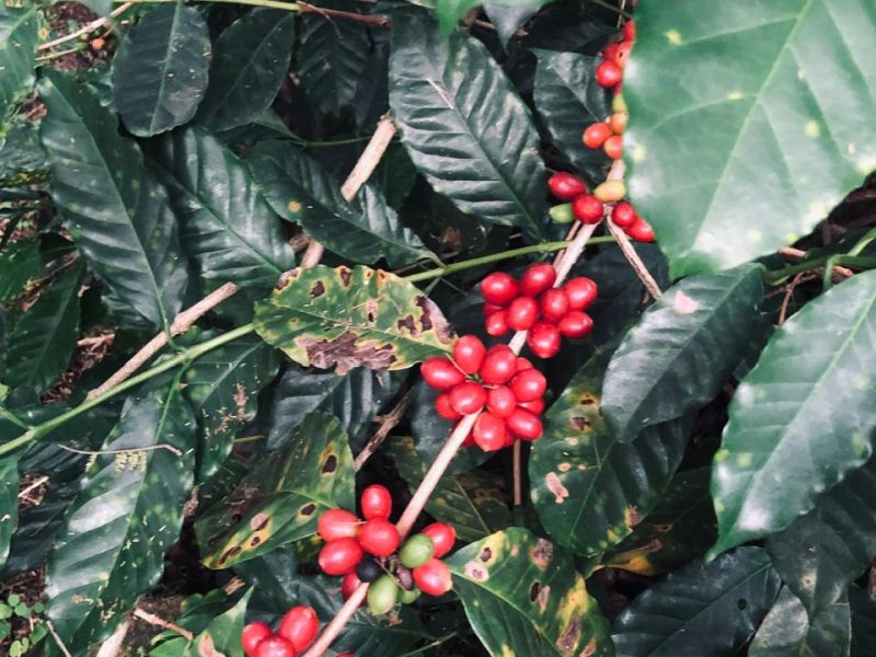 WhatsApp Image 2026-03-29 at 7.55.56 AM (3)