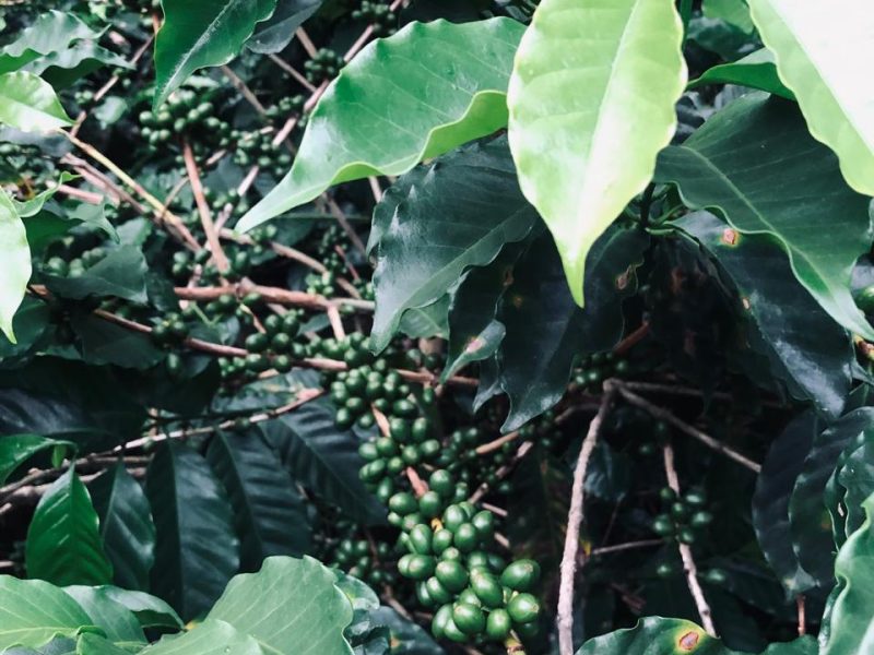 WhatsApp Image 2026-03-29 at 7.55.56 AM